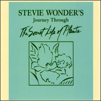 steviewonder.jpg